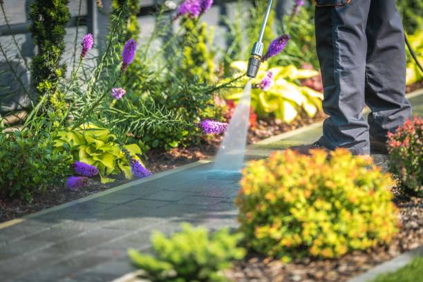 Best Gutter Cleaning  in Oceanside, CA